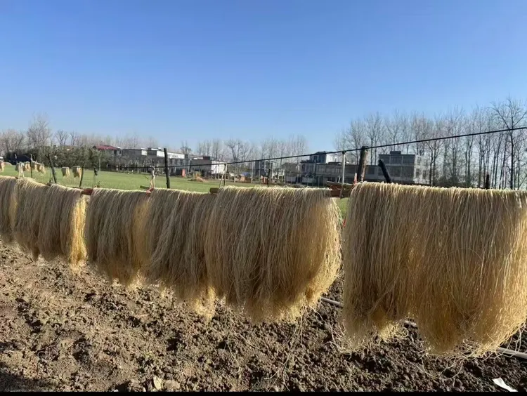 香香农家纯红薯粉条5斤装