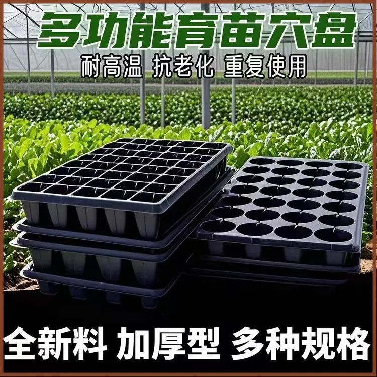 72穴育苗盘穴盘托盘玉米秧苗盘西瓜辣椒盘蔬菜盒秧苗盆加厚箱塑料