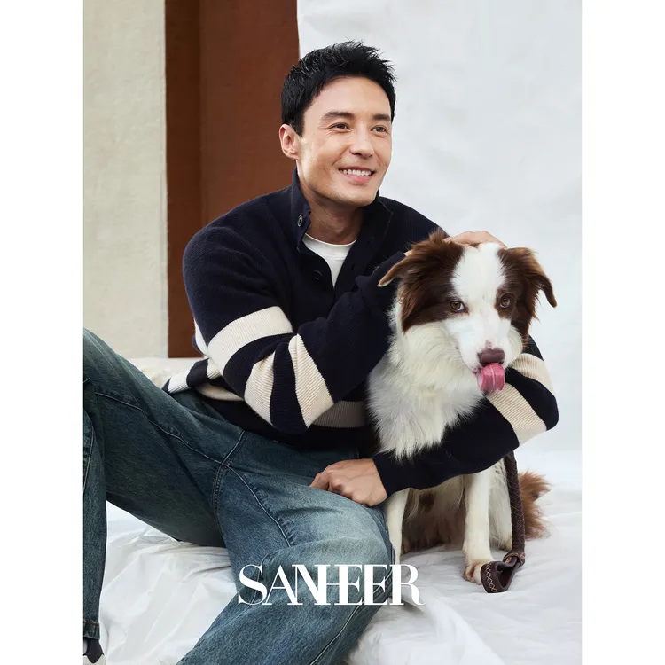 【优雅绅士】轻盈保暖美利奴羊毛 宽条纹纽扣门襟高领毛衣 DAZ804