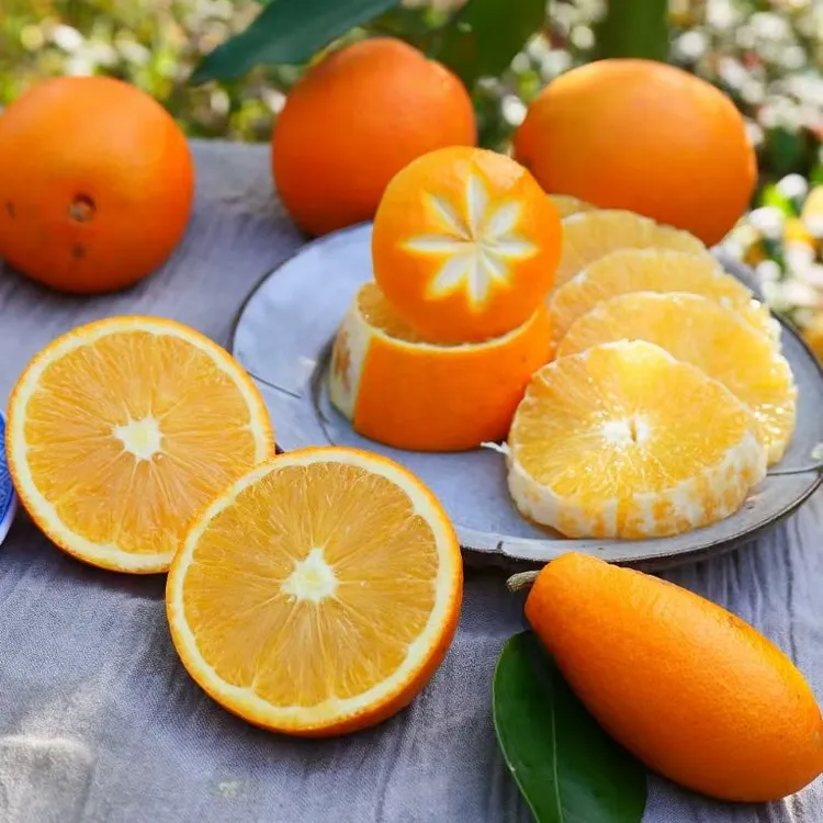 豆芽儿专属【顺丰包邮】江西赣南信丰脐橙新鲜现摘农家甜橙产地直发