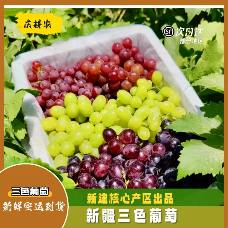 新疆吐鲁番正宗三色鲜食葡萄脆甜多汁应季水果