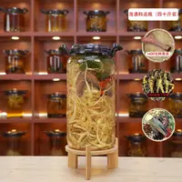 40斤 正宗高龄长白山林下参新鲜籽货可用于泡酒煲汤适合中老年