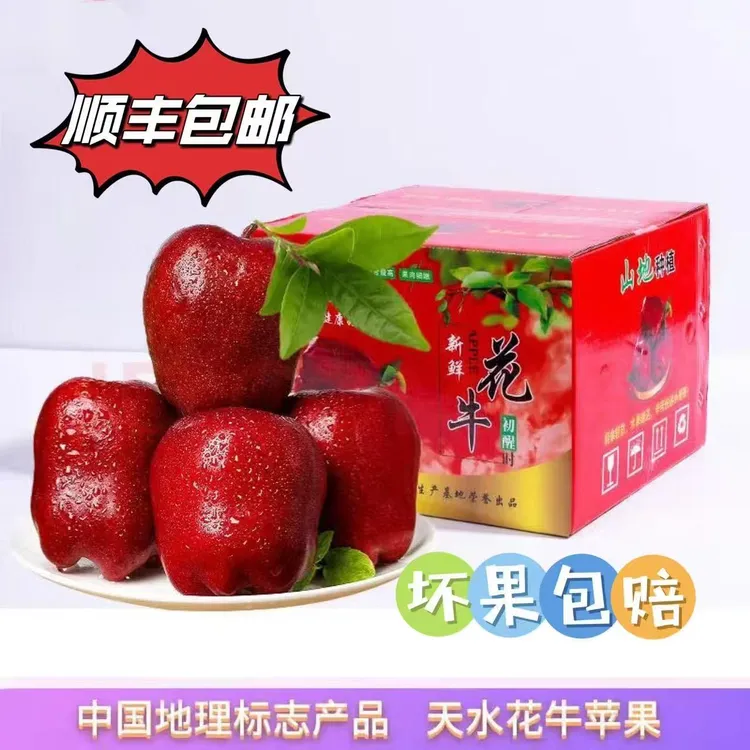 （ 顺丰包邮）甘肃天水精品花牛苹果4.5-9斤新鲜红色脆甜现摘多汁