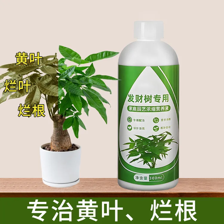 发财树专用营养液水培土培通用防黄叶烂根养花龟背竹肥料