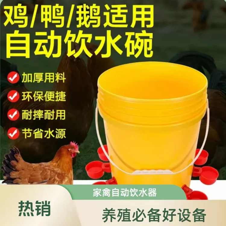 鸡鸭家禽自动饮水器小鸡饮水碗鸡鸭自动饮水器鸡喝水的自动饮水器
