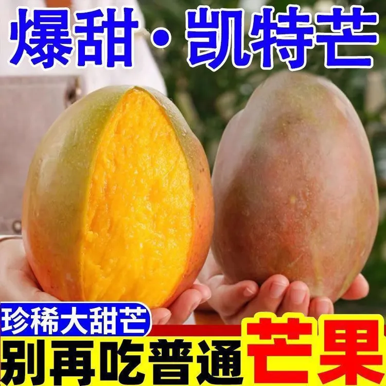 【小尤助农】四川攀枝花凯特芒果大芒果青芒新鲜水果采摘应季水果