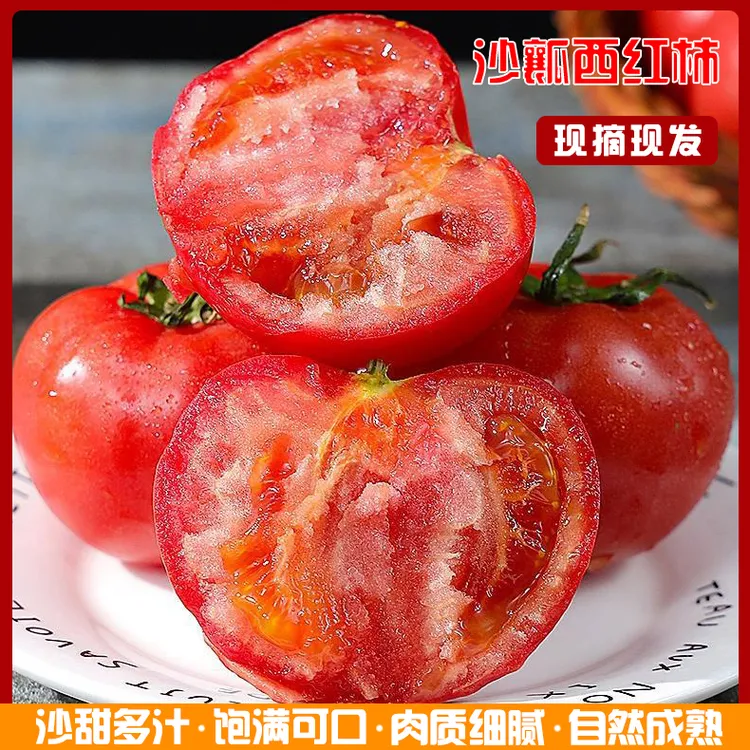 【新人福利】云南沙瓤西红柿草莓籽番茄自然成熟不打药饱满口感多汁