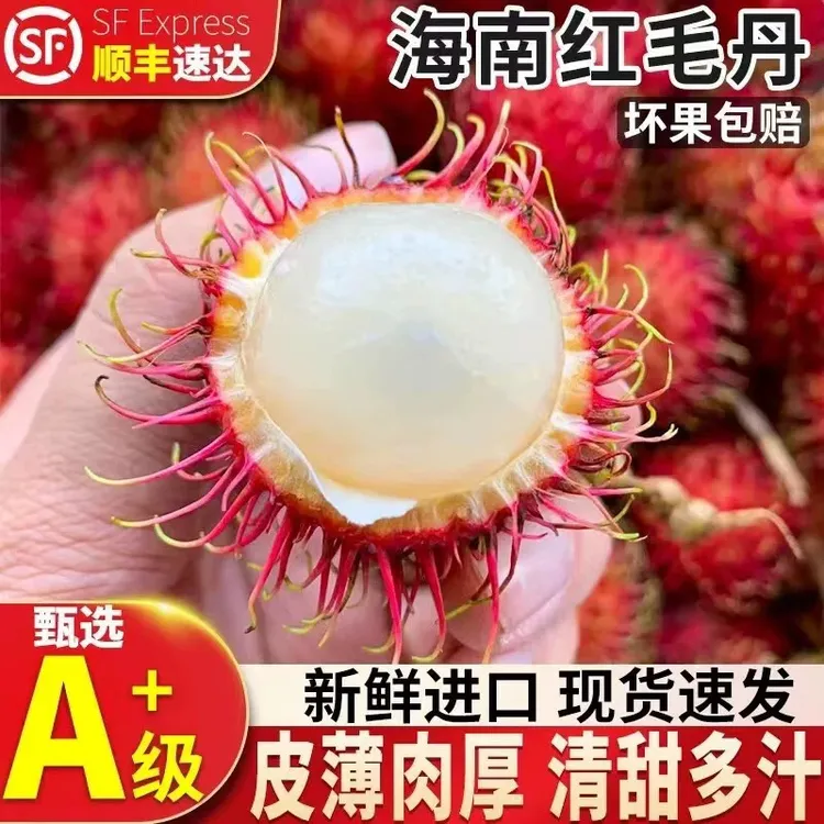 顺丰包邮当季海南红毛丹毛荔枝新鲜应季水果鲜甜可口鲜荔枝大果