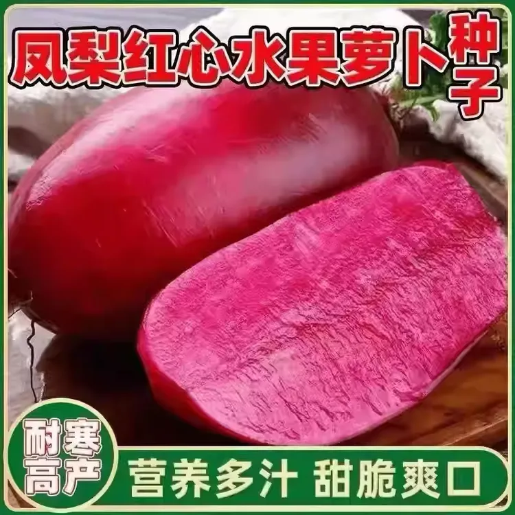 30新疆包邮【凤梨水果萝卜种子】甜脆型籽种孑四季蔬菜甜紫美人种