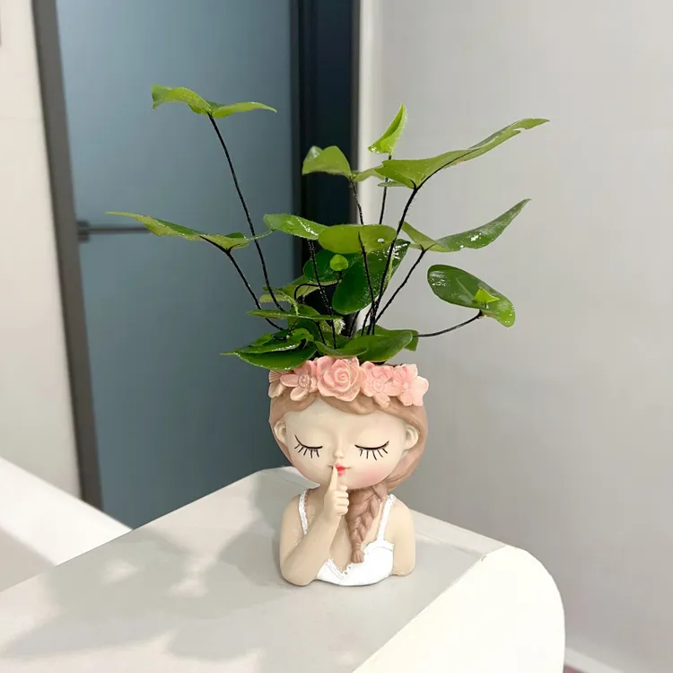 【喜阴】心愿蕨盆栽室内客厅办公室桌观叶可爱绿植茶室净化空气盆栽