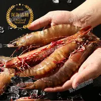 【泽妮精选】3斤汕尾本港纯野生活冻红抓虾 短钩对虾