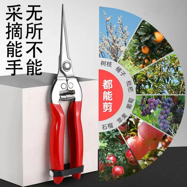 热卖花枝剪摘果剪疏果剪采果稀果剪葡萄剪枸杞疏花剪刀修超市包邮