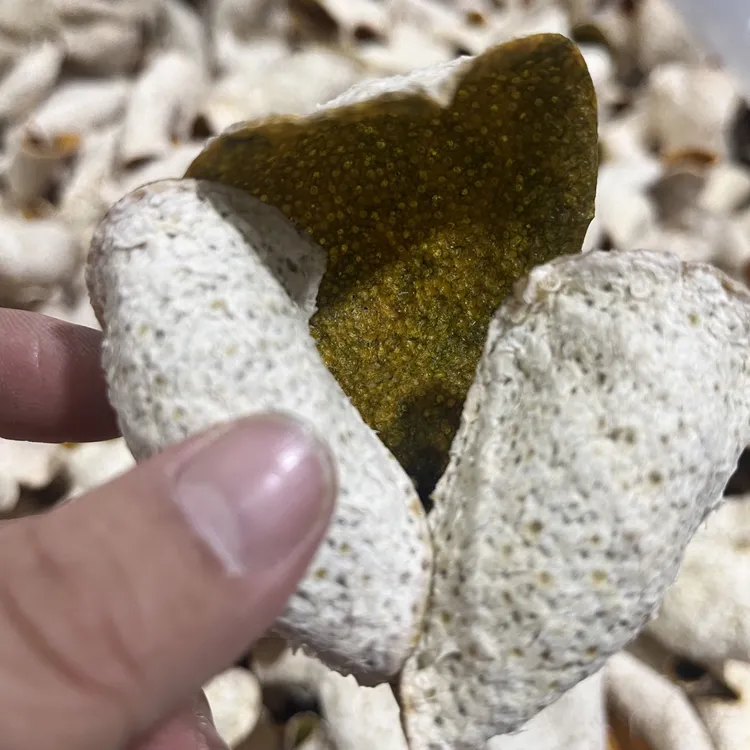 2025年新会陈皮小冈8年老树圈枝二红皮香气十足