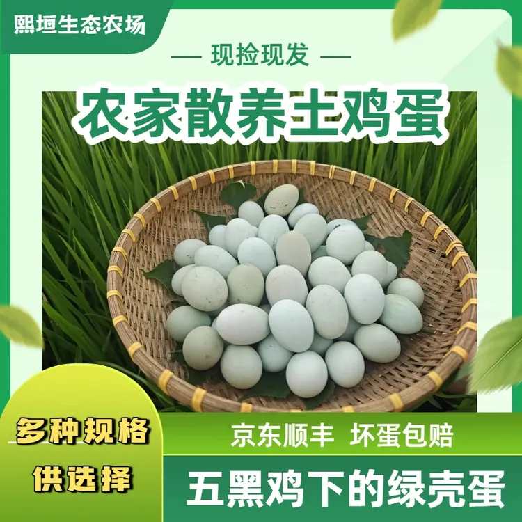 【熙垣生态】农场散养散放全粮喂养新鲜乌鸡蛋