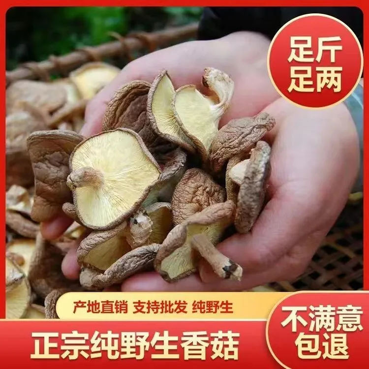 桂林野生香菇菌菇营养美味优质香菇干货煲汤做菜正宗火锅菇类干货