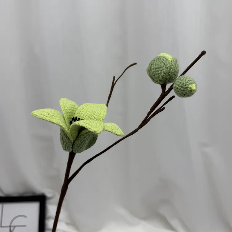 木棉花自选新鲜采摘可居家观赏
