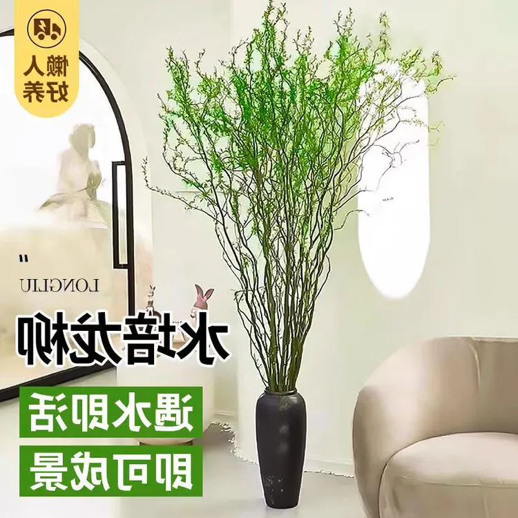 龙柳鲜枝水培植物室内好养花卉盆栽雪柳干枝插花客厅办公室绿植