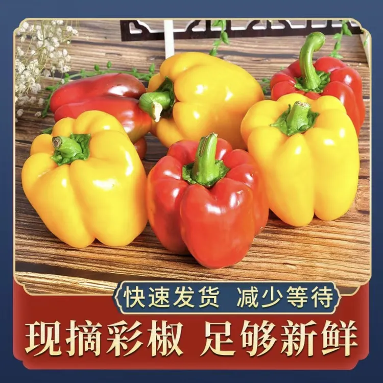 【顺丰包邮】新鲜采摘发货【菜乡商贸】新鲜生吃当季水果椒5斤装