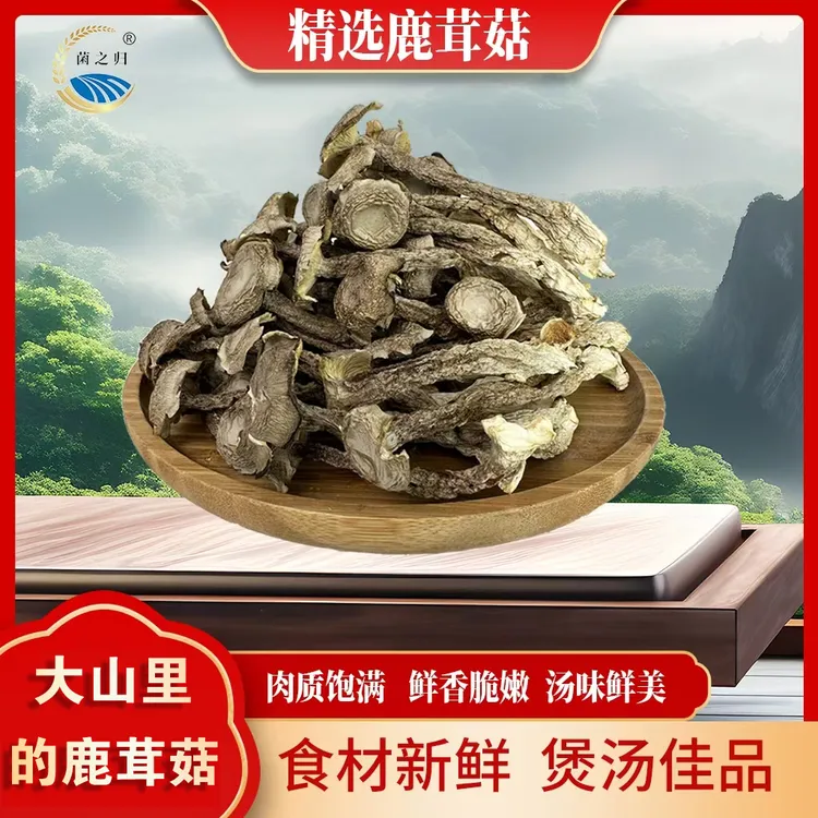 鹿茸菇100g/袋菌菇干货煲汤营养丰富汤味鲜美