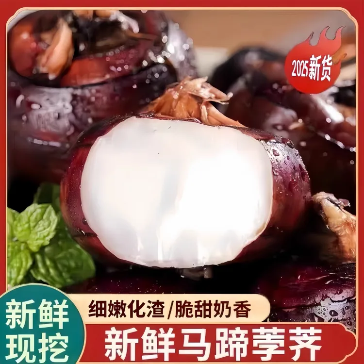 3斤正宗广西马蹄斤新鲜荸荠地栗地梨农家水果蔬菜大果清甜无渣