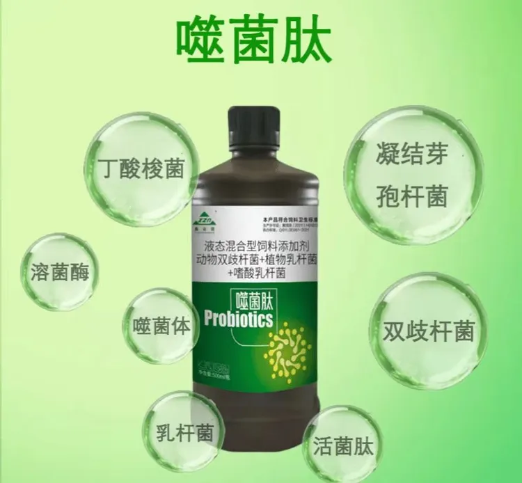 噬菌肽、调理肠道、净化肠道毒素、维生系统室内平衡