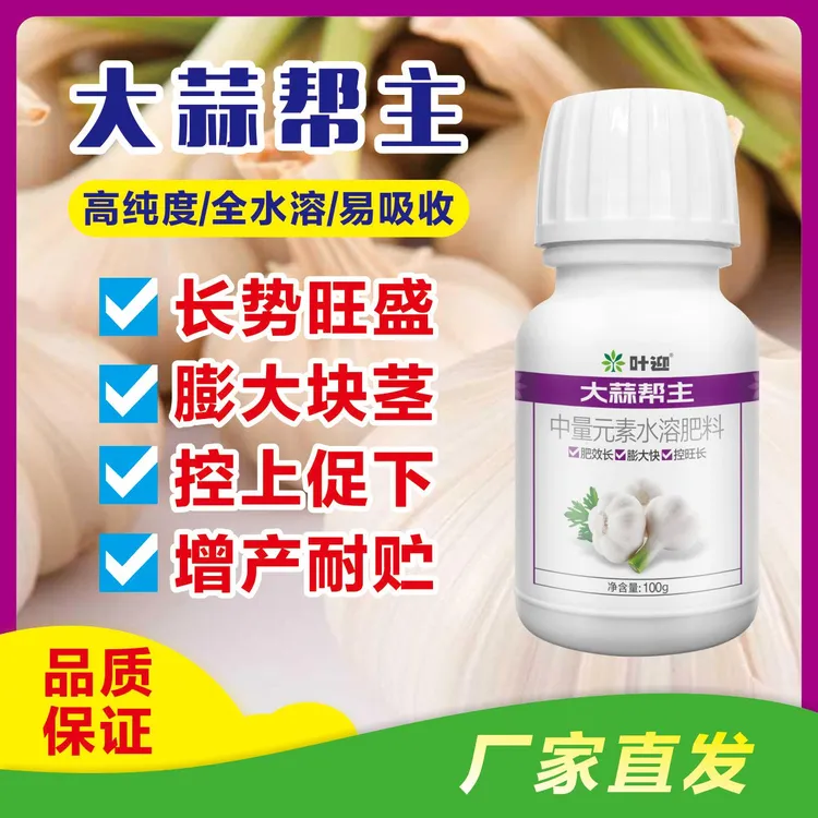 大蒜帮主 全水溶增产耐贮易吸收长势旺盛膨大块茎控上促下