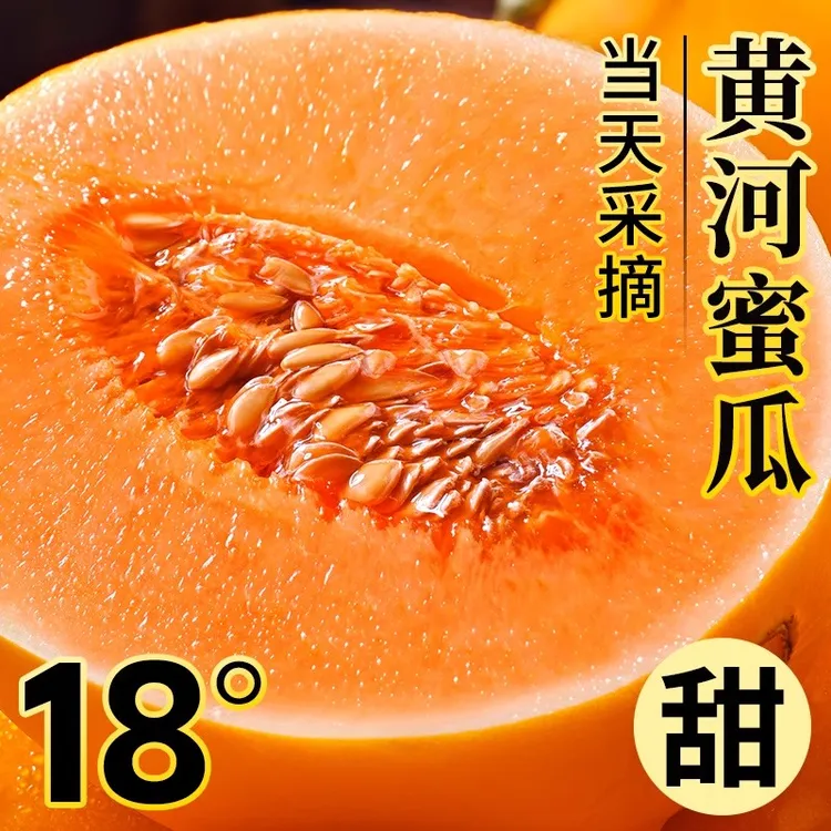 黄河蜜瓜新鲜当季孕妇水果现摘黄金香瓜甜瓜陕西阎良甜瓜整箱