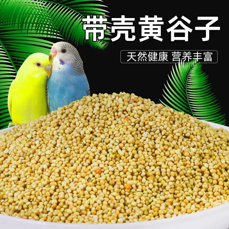 鹦鹉鸟食玄风虎皮谷子牡丹粮食文鸟带壳小米黄雀鸟粮黄谷子