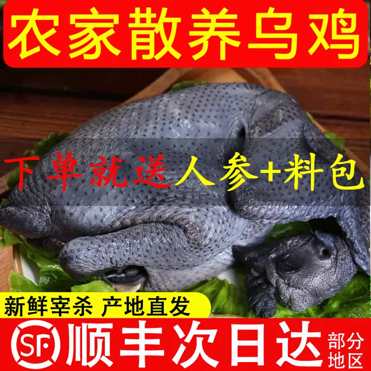 乌鸡农家散养土鸡新鲜现杀白凤乌骨鸡黑鸡生鲜滋补煲汤月子鸡整只