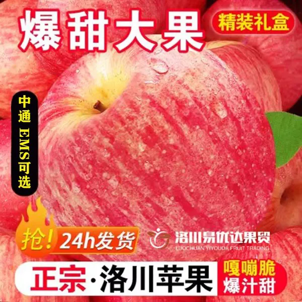 正宗陕西洛川苹果红富士苹果脆甜新鲜整箱红富士苹果一箱10斤当季