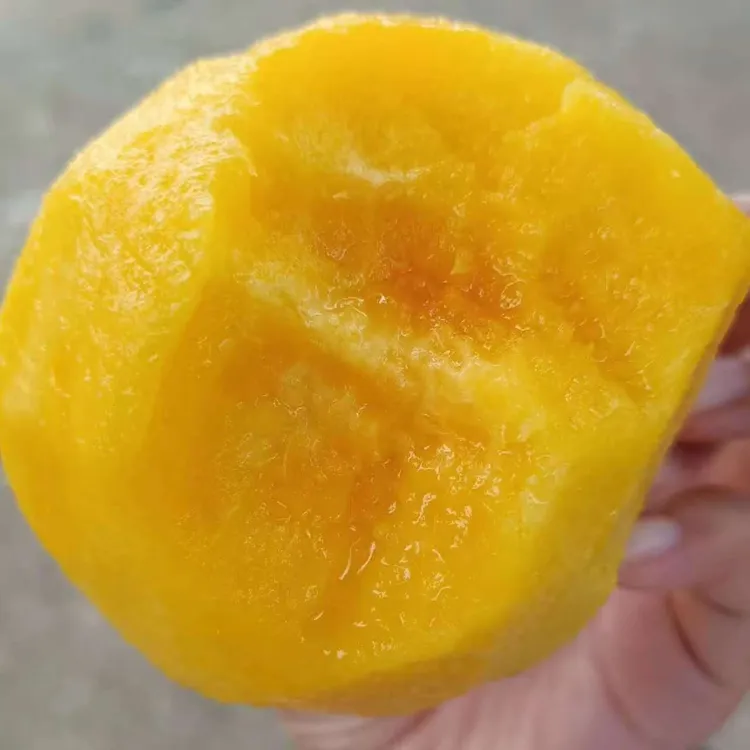 【顺丰包邮】湖北锦绣黄桃，露天种植未套袋带箱10斤