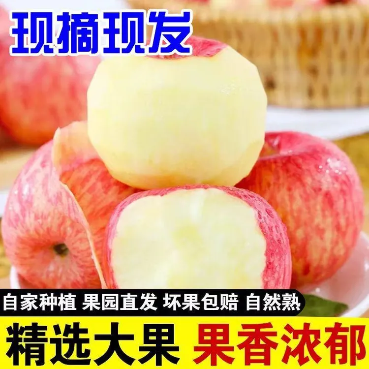 当季现摘新鲜红富士苹果脆甜多汁冰糖心产地直发应季一整箱包邮