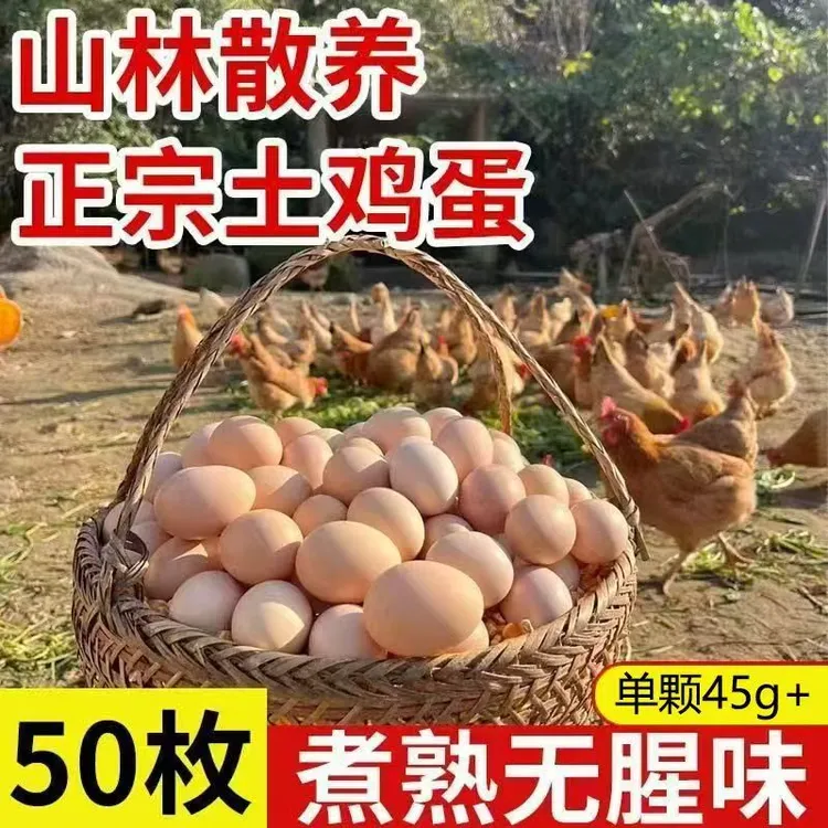 正宗农家散养土鸡蛋新鲜大个土鸡蛋无添加无激素