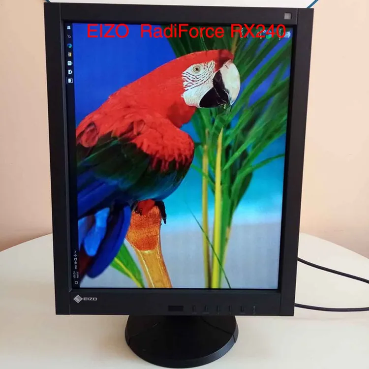 艺卓21寸EIZO RX240医疗医用设计制图绘图摄影修图办公2MP显示器