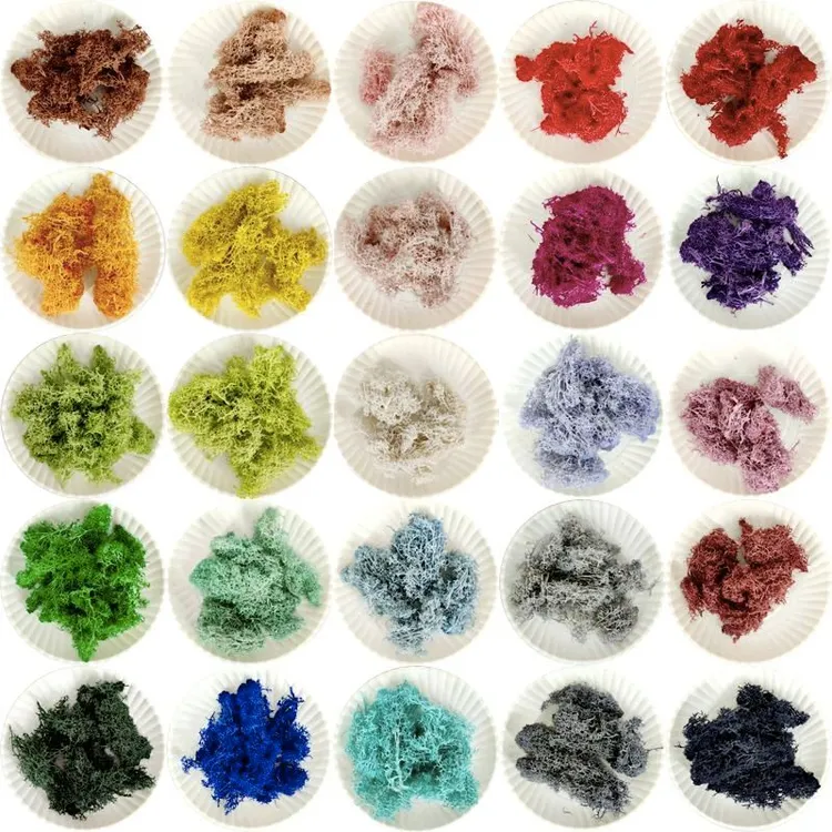 永生真苔藓diy干花材料玻璃罩遮花泥植物相框画深渊镜配草驯鹿藓