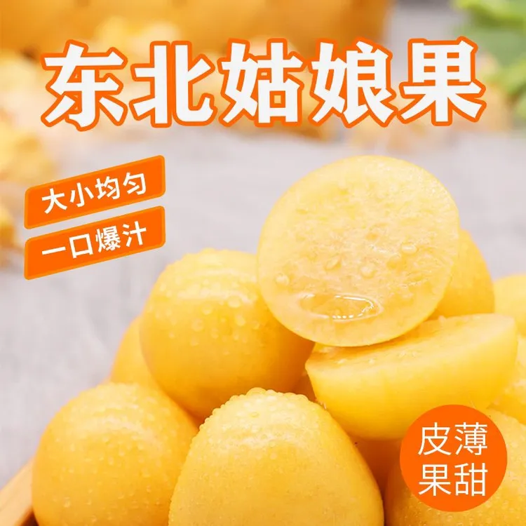 东北头茬姑娘果新鲜采摘当季香甜水果产地直发