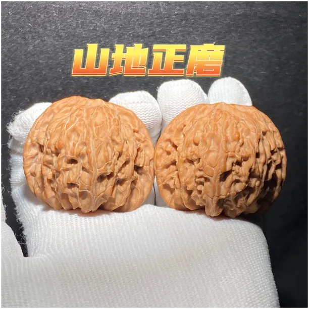 山地正磨 顶配全品大尺 树头果王 桩正棱直 磨盘当中的天花板