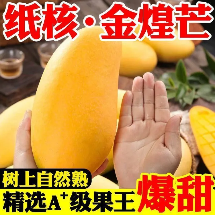 正宗海南金煌芒新鲜应季水果爆甜多汁核薄金煌芒源头产地直发
