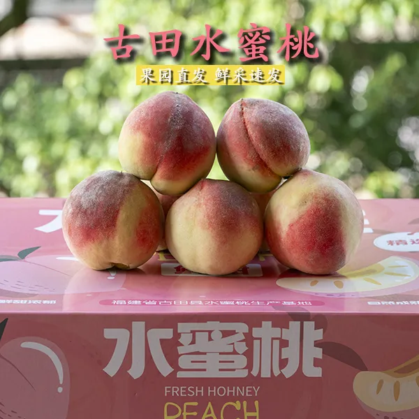 正宗福建古田水蜜桃甜桃精品新鲜特大水果现摘现发5斤装包邮多汁