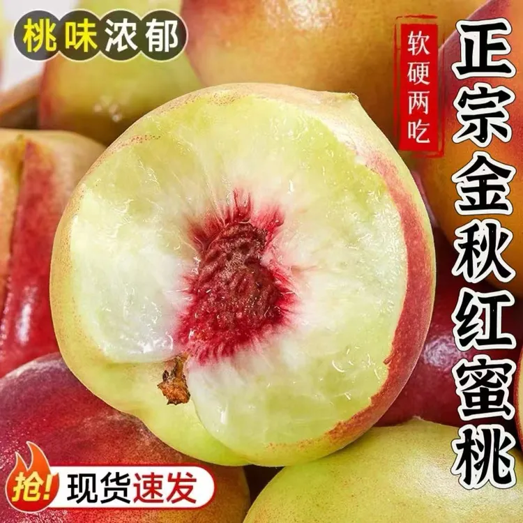 山东正宗金秋红密高山秋桃蜜桃新鲜水果脆甜可口软糯香甜