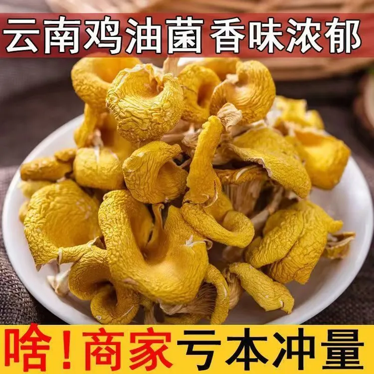 （净重无干燥剂）云南特产鸡油菌菇干货鲜美营养丰富炒菜煲汤
