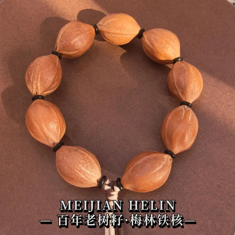 【入门款】正宗老树梅林铁核鲨鱼背入门|百年老树原生态无药无夹板