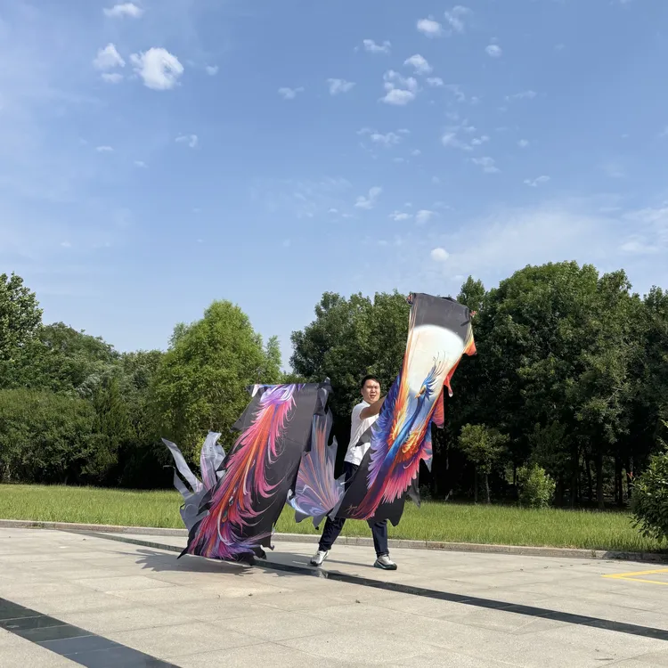 国腾新款紫翎凤舞龙不锈钢镂空彩带龙头可水洗一体彩绸健身龙全套