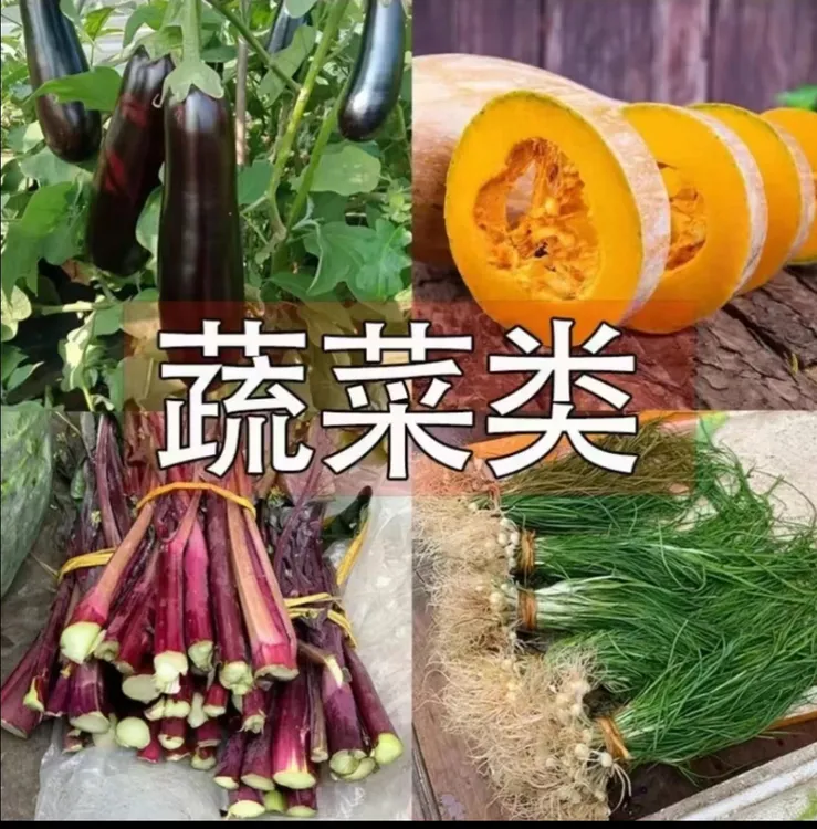 衡阳本地农家蔬菜 | 新鲜现摘包邮到家