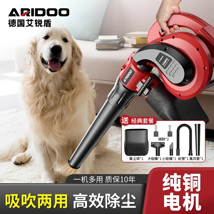 吹风机大功率除尘小型鼓风机车载清灰吹灰枪220v强力工业用吸尘器