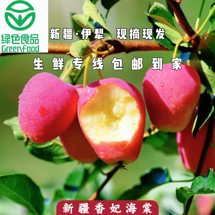 正宗新疆香妃海棠 小苹果 海棠果  新疆伊犁包邮直发
