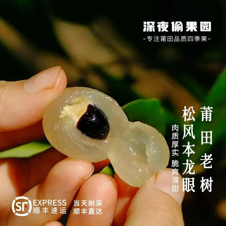 （顺丰空运包邮）精挑特大果 莆田（老树） 新鲜现摘现发松风本龙眼 