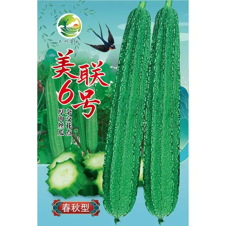 美联6号春秋型丝瓜种，长35~40厘米厚肉花点丝瓜，耐采摘