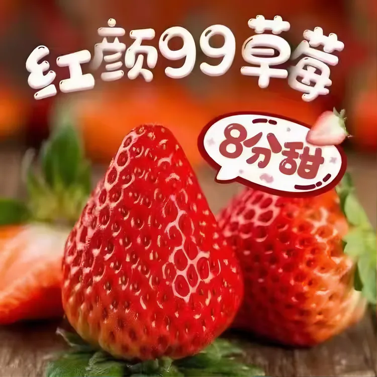 正宗丹东椅圈九九草莓顺丰包邮