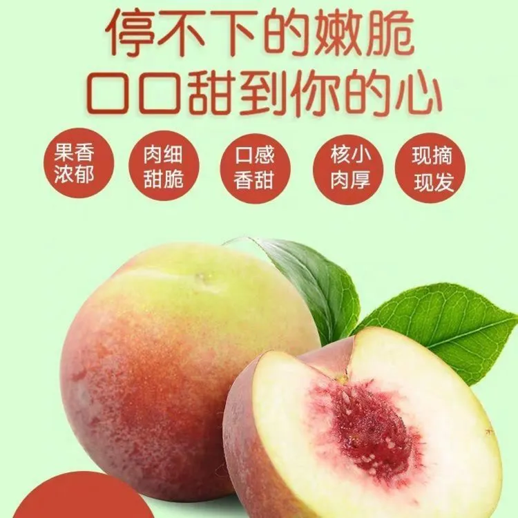 正宗沂蒙山青州蜜桃现摘现发离核红心脆甜新鲜应季水果